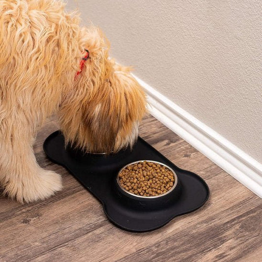 Goldendoodle mange des croquettes dans sa gamelle pour chien anti-débordement