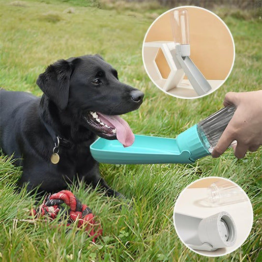 Gourde chien | 2 - en - 1 avec abreuvoir intégré - Gamelle et Cie pour Chien