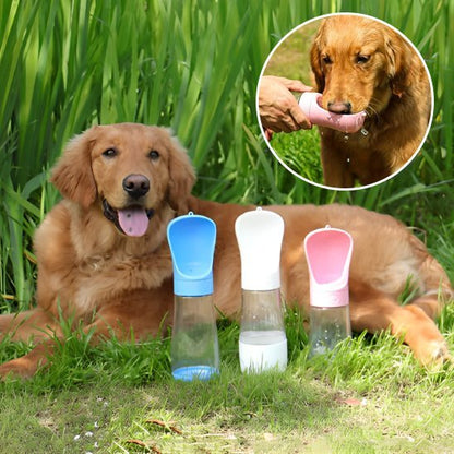 Gourde chien | Nomad - Gamelle et Cie pour Chien