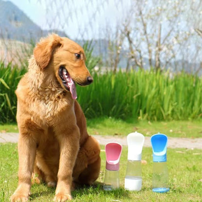Gourde chien | Nomad - Gamelle et Cie pour Chien