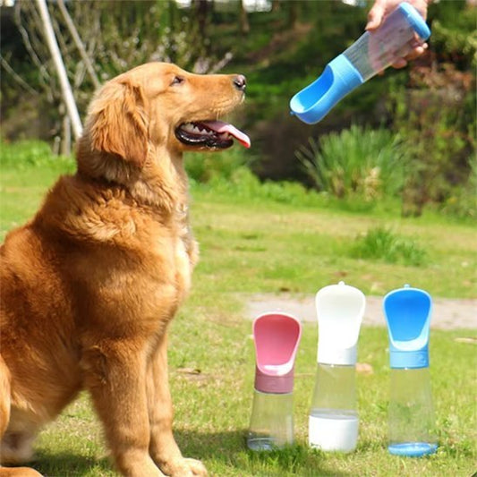 Gourde chien | Nomad - Gamelle et Cie pour Chien