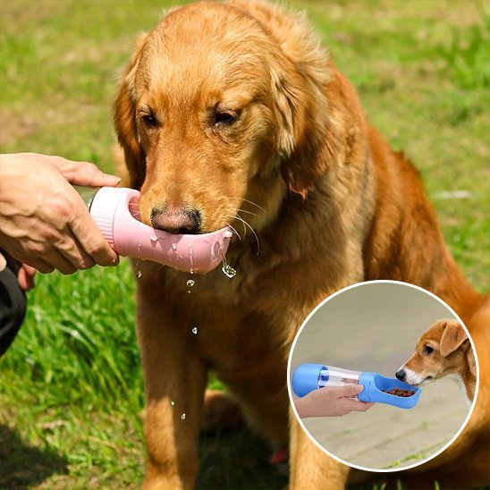 Chien s'abreuvant dans Gourde chien rose - Nomad - Gamelle et Cie pour Chien