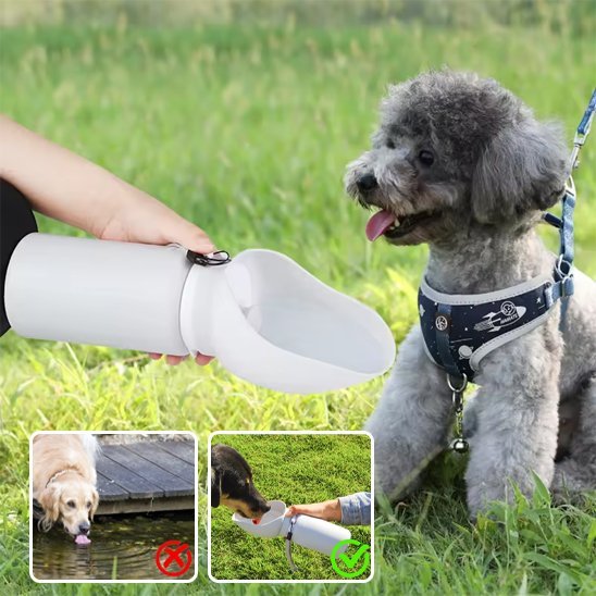 Gourde chien | Portable 2 - en - 1 - Gamelle et Cie pour Chien
