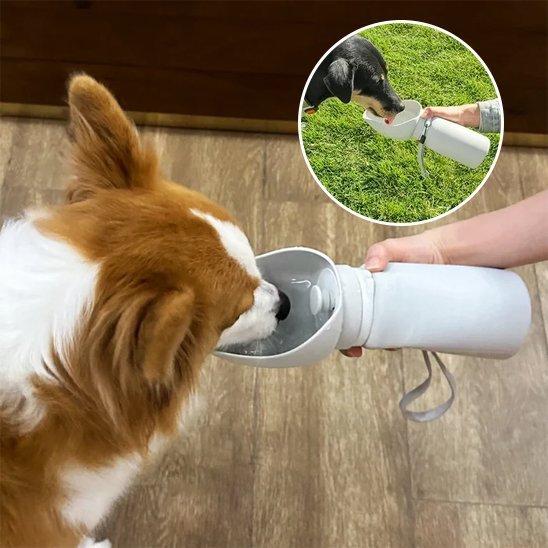 Gourde chien | Portable 2 - en - 1 - Gamelle et Cie pour Chien