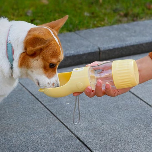 Gourde pour chien | Design Chat Anti - Fuites - Gamelle et Cie pour Chien