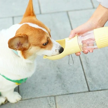 Gourde pour chien | Design Chat Anti - Fuites - Gamelle et Cie pour Chien