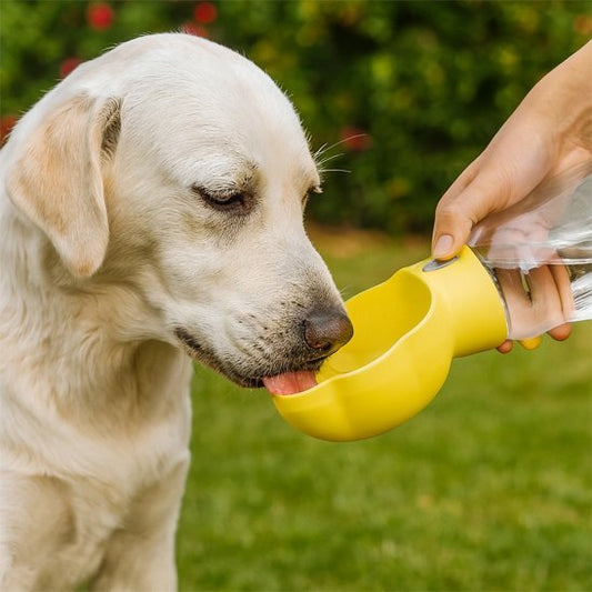 Gourde pour Chien | Nomad 2 - en - 1 - Gamelle et Cie pour Chien