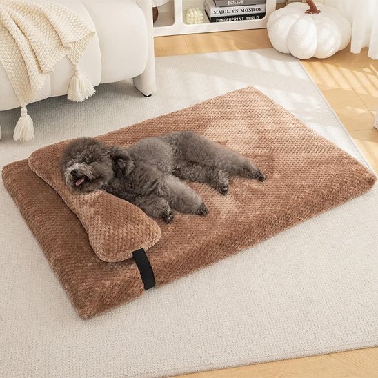 Chien couché dans lit pour chien brun foncé - Ergonomique - Gamelle et Cie pour chien