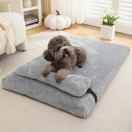 Chien couché dans lit pour chien gris - Ergonomique - Gamelle et Cie pour chien