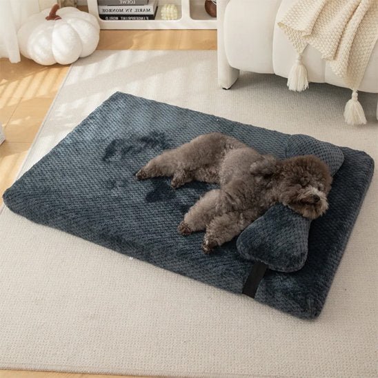 Chien endormi dans lit pour chien noir - Ergonomique - Gamelle et Cie pour chien