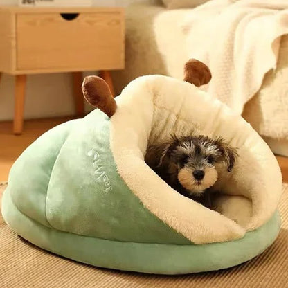 Chien dans lit pour chien forme sandale vert - Royal Comfort - Gamelle et Cie pour chien