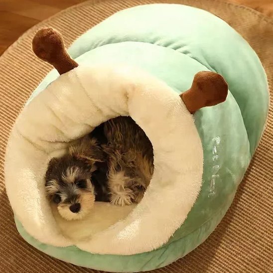 Chien dans lit pour chien forme sandale vert - Royal Comfort - Gamelle et Cie pour chien