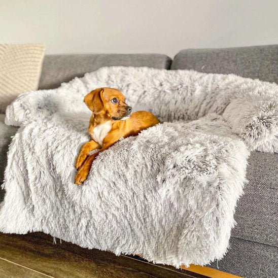 Chien couché dans lit pour chien blanc lavable orthopédique - Gamelle et Cie pour chien
