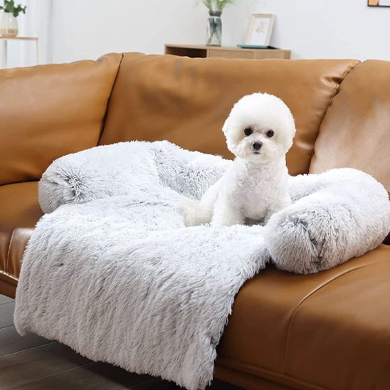 Chien couché dans lit pour chien blanc lavable orthopédique - Gamelle et Cie pour chien