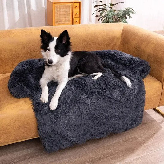 Chien couché dans lit pour chien noir lavable orthopédique - Gamelle et Cie pour chien