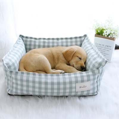 Chien dans son lit pour Chien bleu carreaux - Orthopédique - Gamelle et Cie pour chien