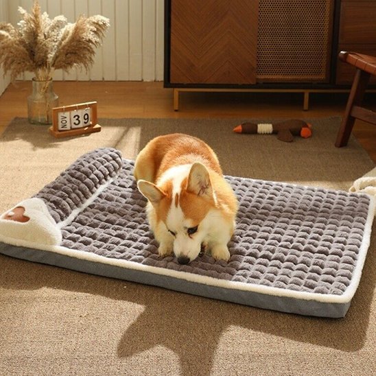 Chien endormi dans lit pour chien orthopédique brun - DogComfort - Gamelle et Cie pour chien