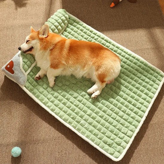 Chien endormi dans lit pour chien orthopédique vert - DogComfort - Gamelle et Cie pour chien