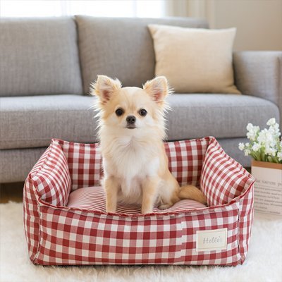 Chien dans son Lit pour Chien rouge carreaux - Orthopédique - Gamelle et Cie pour chien