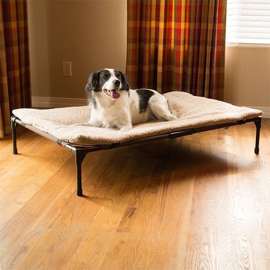 Chien couché sur Lit pour chien brun surélevé - Respirant - Gamelle et Cie pour chien