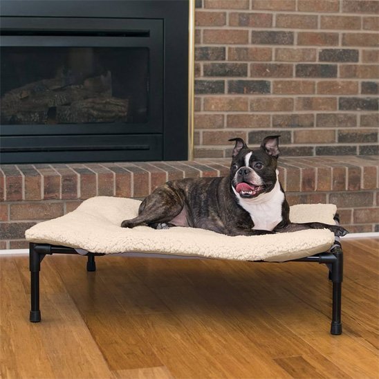 Chien couché sur Lit pour chien blanc surélevé - Respirant - Gamelle et Cie pour chien