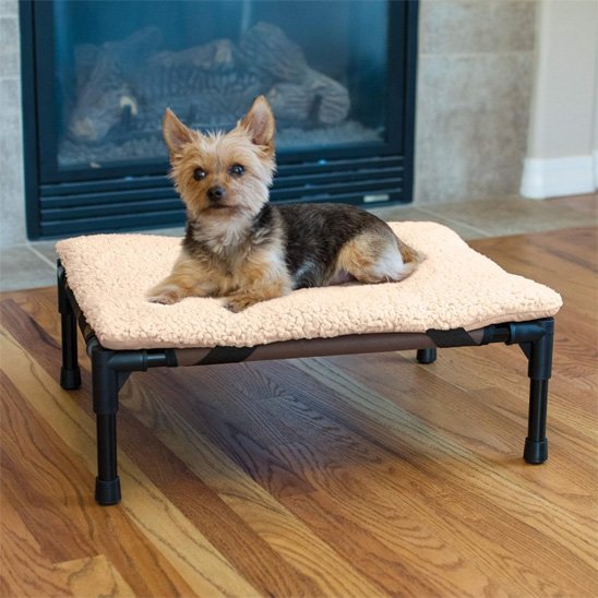 Chien couché sur Lit pour chien blanc surélevé - Respirant - Gamelle et Cie pour chien