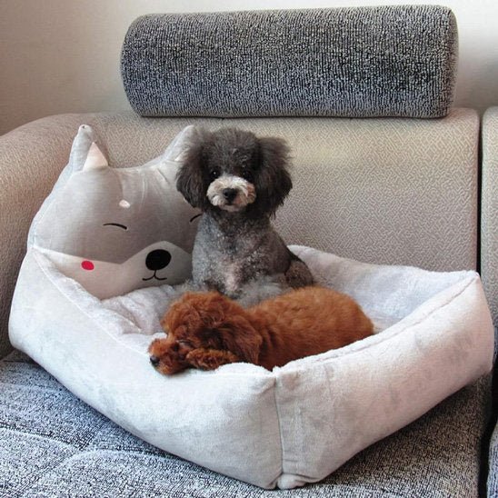 Chiens noir et blanc dans Panier chien - Confort Élégant - Gamelle et Cie pour Chien