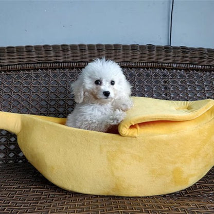 Chien assis dans Panier chien jaune - Confort Élégant - Gamelle et Cie pour Chien