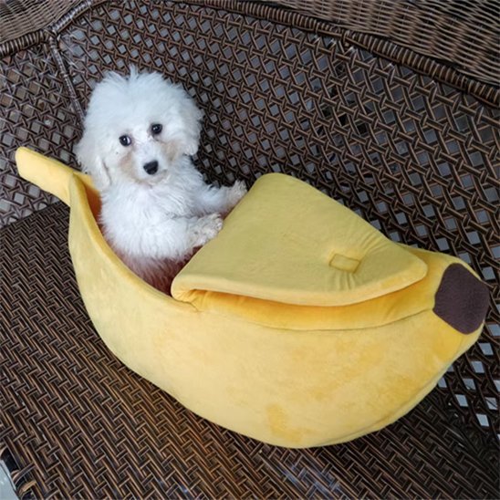 Chien assis dans Panier chien jaune - Confort Élégant - Gamelle et Cie pour Chien