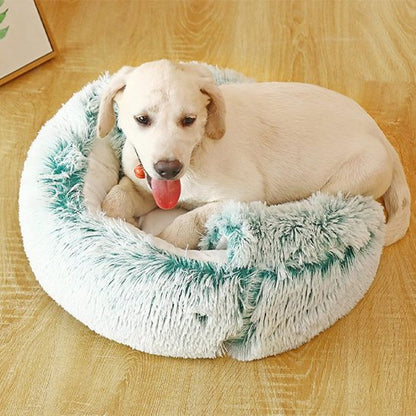 Chien blanc dans Panier chien vert - Douceur Design - Gamelle et Cie pour Chien