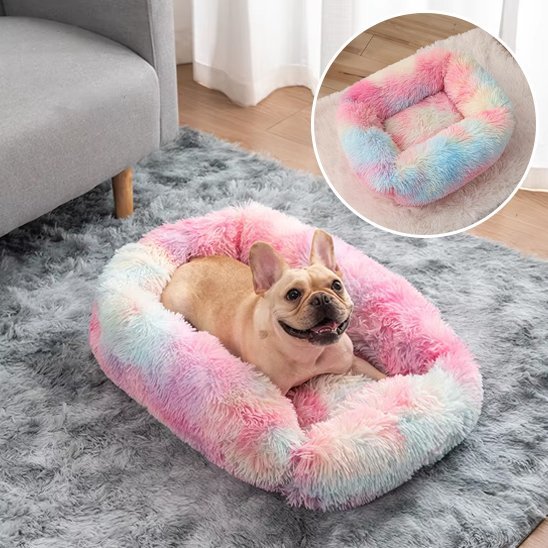 Chien allongé dans Panier pour chien  en arc-en-ciel - ErgoComfort - Gamelle et Cie pour Chien