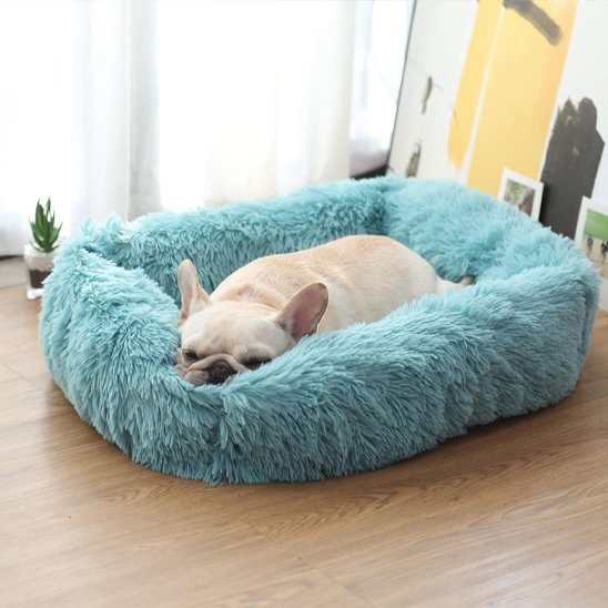Chien couché dans Panier pour chien  ErgoComfort - Gamelle et Cie pour Chien