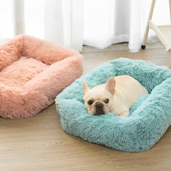 Chien couché dans Panier pour chien  bleu ErgoComfort - Gamelle et Cie pour Chien