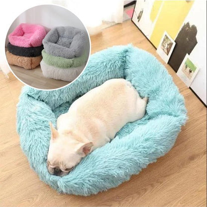 Chien couché dans Panier pour chien  bleu ErgoComfort - Gamelle et Cie pour Chien