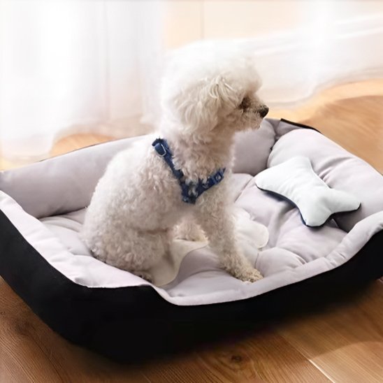 Panier pour chien | Comfort Deluxe - Gamelle et Cie pour Chien