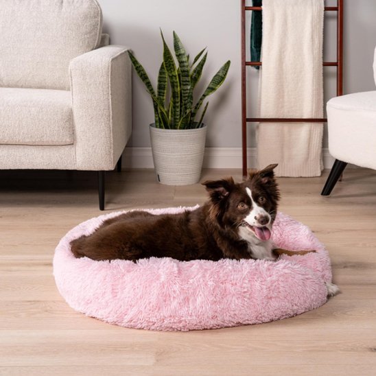 Chien se repose dans Panier pour chien rose - Confort Premium - Gamelle et Cie pour Chien