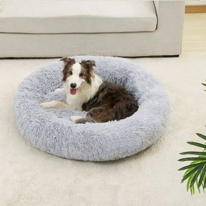 Chien se repose dans Panier pour chien gris - Confort Premium - Gamelle et Cie pour Chien