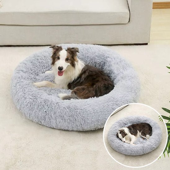 Chien couché dans Panier pour chien gris - Confort Premium - Gamelle et Cie pour Chien