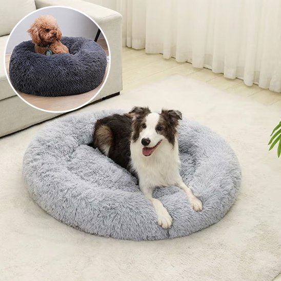 Chien couché dans Panier pour chien gris clair - Confort Premium - Gamelle et Cie pour Chien