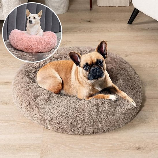 Chien couché dans Panier pour chien brun - Confort Premium - Gamelle et Cie pour Chien