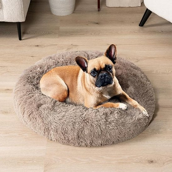 Chien se repose dans Panier pour chien brun - Confort Premium - Gamelle et Cie pour Chien