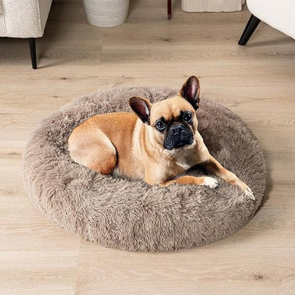 Chien se repose dans Panier pour chien brun - Confort Premium - Gamelle et Cie pour Chien