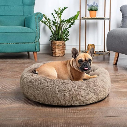 Chien se repose dans Panier pour chien gris - Confort Premium - Gamelle et Cie pour Chien