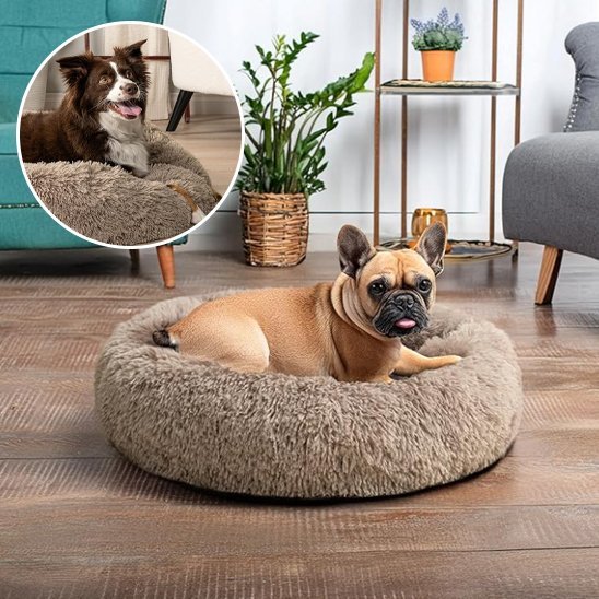 Chien se repose dans Panier pour chien brun - Confort Premium - Gamelle et Cie pour Chien