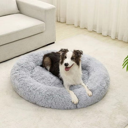 Chien se repose dans Panier pour chien gris - Confort Premium - Gamelle et Cie pour Chien