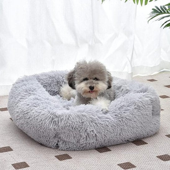 Chien couché dans Panier pour chien gris - ErgoComfort - Gamelle et Cie pour Chien
