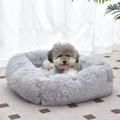Chien couché dans Panier pour chien gris - ErgoComfort - Gamelle et Cie pour Chien