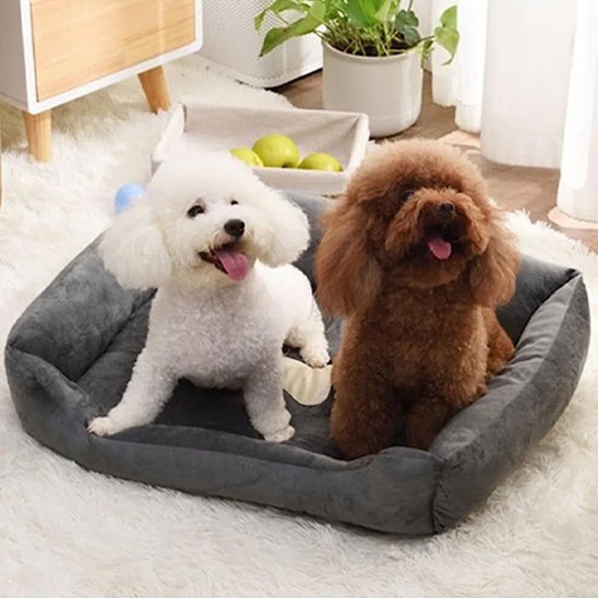 Deux chiens assis dans Panier pour chien - Ultra - Confortable - Gamelle et Cie pour Chien
