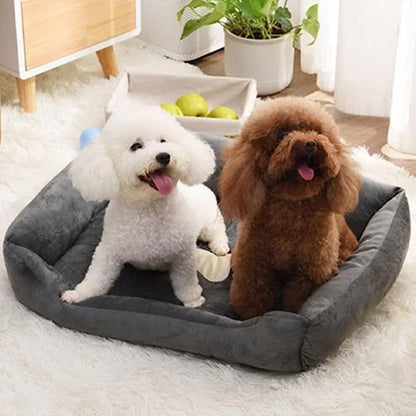 Deux chiens assis dans Panier pour chien - Ultra - Confortable - Gamelle et Cie pour Chien