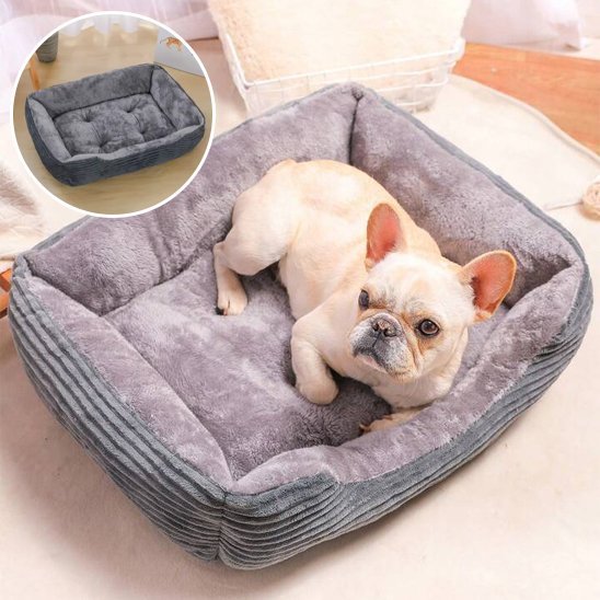 Chien dans Panier pour chien couleur gris - Ultra - Douillet - Gamelle et Cie pour Chien